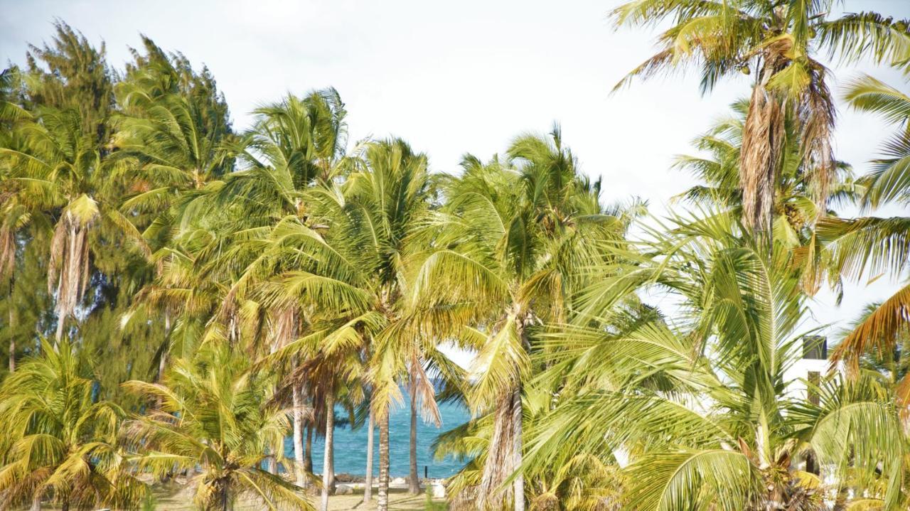 Paje Blu Boutique Hotel Bagian luar foto